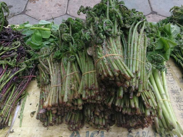 吉林的温馨日常，友情的温暖与陪伴的力量