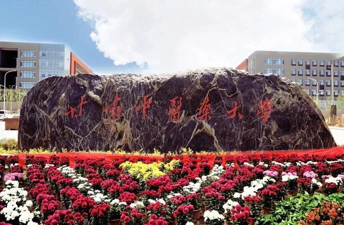 甘肃，历史文化瑰宝与自然画卷的交融之地